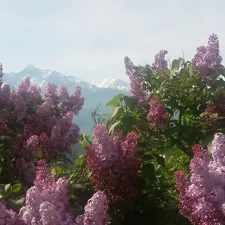 Maison Torrent Отель типа 