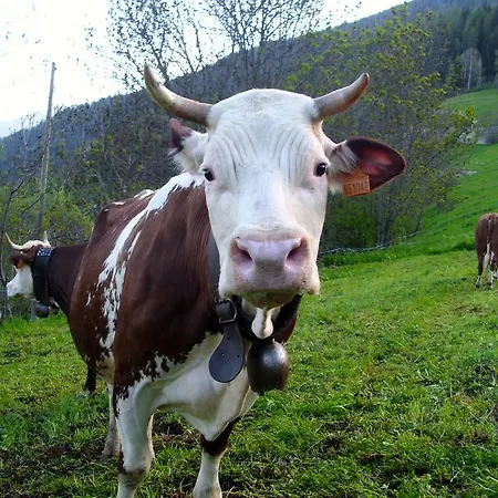 Maison Torrent Nocleg ze śniadaniem