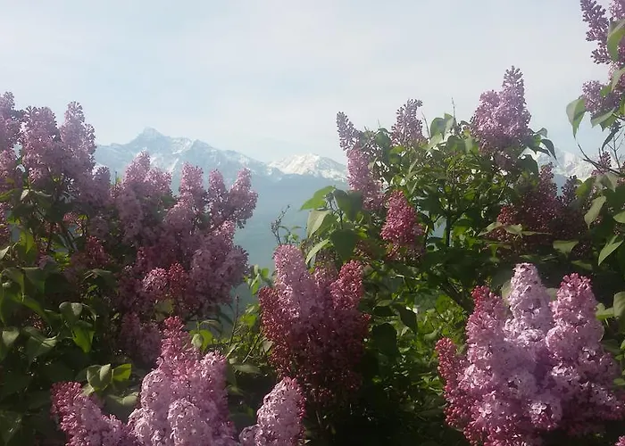 Maison Torrent Отель типа 